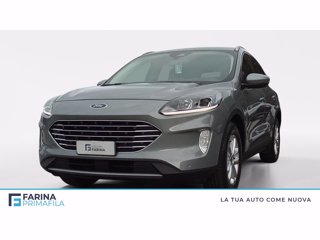FORD Kuga 1.5 ecoblue titanium business 2wd 120cv auto