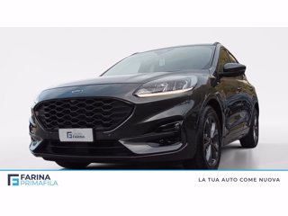 FORD Kuga 2.0 ecoblue mhev st-line 2wd 150cv