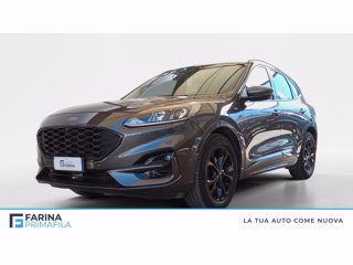 FORD Kuga 1.5 ecoblue st-line 2wd 120cv auto