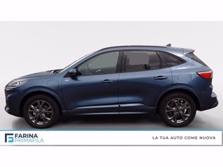 FORD Kuga 2.5 phev st-line 2wd 225cv cvt