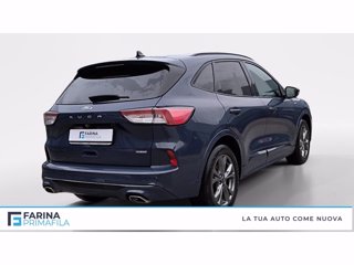 FORD Kuga 2.5 full hybrid st-line 2wd 190cv cvt