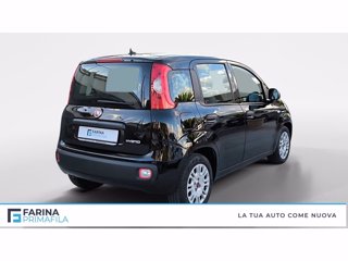 FIAT Panda 1.0 firefly hybrid s&s 70cv