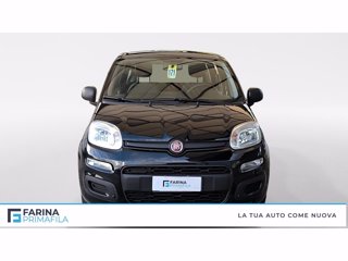 FIAT Panda 1.0 firefly hybrid s&s 70cv