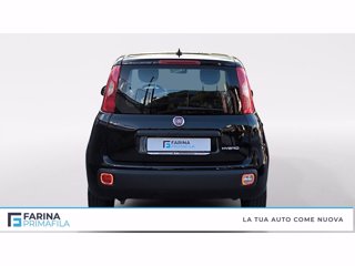 FIAT Panda 1.0 firefly hybrid s&s 70cv