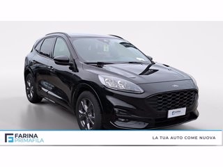 FORD Kuga 2.0 ecoblue st-line x awd 120cv auto