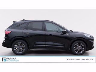 FORD Kuga 2.0 ecoblue st-line x awd 120cv auto