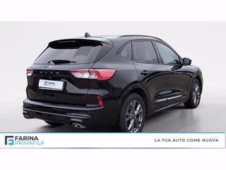 FORD Kuga 2.0 ecoblue st-line x awd 120cv auto