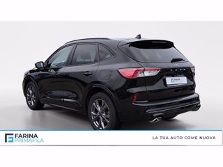 FORD Kuga 2.0 ecoblue st-line x awd 120cv auto