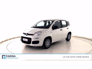 FIAT Panda 1.0 firefly hybrid Pop s&s 70cv