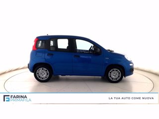 FIAT Panda 1.0 firefly hybrid Pop s&s 70cv