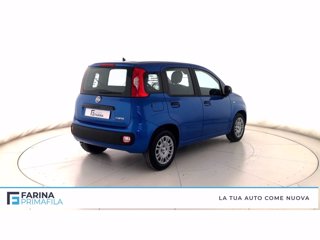 FIAT Panda 1.0 firefly hybrid Pop s&s 70cv