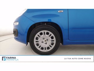 FIAT Panda 1.0 firefly hybrid Pop s&s 70cv
