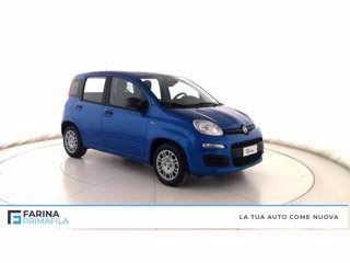 FIAT Panda 1.0 firefly hybrid Pop s&s 70cv