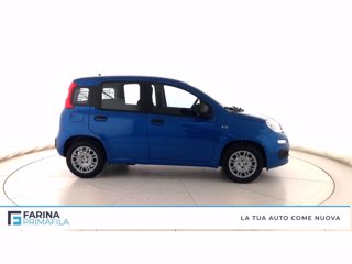 FIAT Panda 1.0 firefly hybrid Pop s&s 70cv
