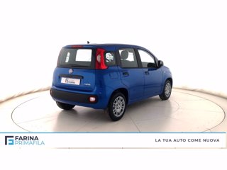 FIAT Panda 1.0 firefly hybrid Pop s&s 70cv