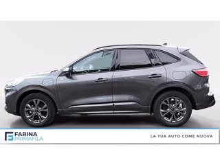 FORD Kuga 2.5 phev st-line 2wd 225cv cvt