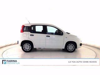 FIAT Pandina 1.0 firefly hybrid pop s&s 65cv