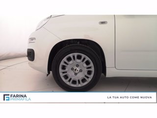 FIAT Pandina 1.0 firefly hybrid pop s&s 65cv