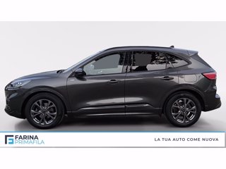 FORD Kuga 1.5 ecoblue st-line 2wd 120cv