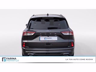 FORD Kuga 1.5 ecoblue st-line 2wd 120cv