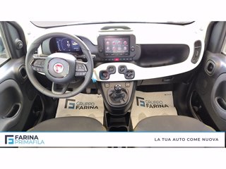 FIAT Panda Pandina III 2024  Pandina 1.0 firefly hybrid s&s 70c