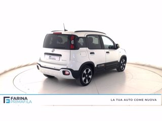 FIAT Panda Pandina III 2024  Pandina 1.0 firefly hybrid s&s 70c