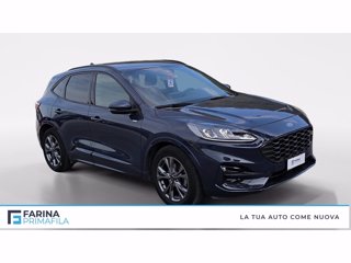 FORD Kuga 2.0 ecoblue st-line awd 120cv auto