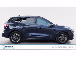 FORD Kuga 2.0 ecoblue st-line awd 120cv auto