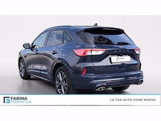 FORD Kuga 2.0 ecoblue st-line awd 120cv auto