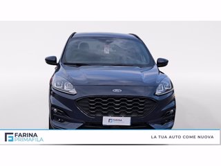 FORD Kuga 2.0 ecoblue st-line awd 120cv auto