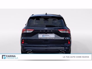 FORD Kuga 2.0 ecoblue st-line awd 120cv auto