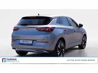 OPEL Grandland 1.5 ecotec business elegance s&s 130cv at8