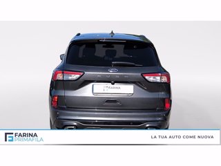FORD Kuga 1.5 ecoboost st-line 2wd 150cv