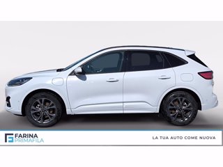 FORD Kuga 2.5 phev st-line x 2wd 225cv cvt