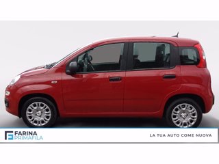 FIAT Pandina 1.0 firefly hybrid s&s 70cv 5p.ti