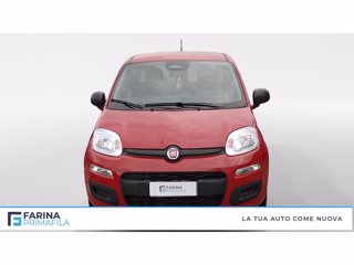 FIAT Pandina 1.0 firefly hybrid s&s 70cv 5p.ti