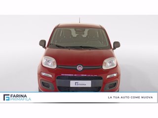 FIAT Pandina 1.0 firefly hybrid s&s 70cv 5p.ti