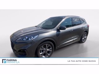 FORD Kuga 2.0 ecoblue st-line x 2wd 120cv auto