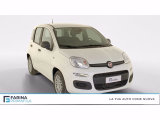 FIAT Pandina 1.0 firefly hybrid s&s 70cv