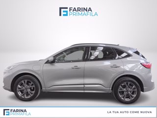 FORD Kuga 2.5 phev st-line 2wd 225cv cvt