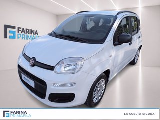 FIAT Panda 1.2 easy s&s 69cv my19