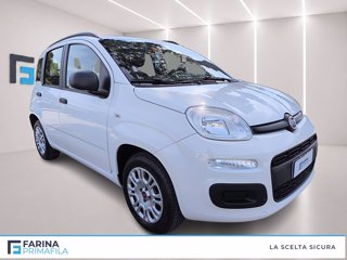 FIAT Panda 1.2 easy s&s 69cv my19