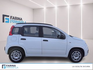 FIAT Panda 1.2 easy s&s 69cv my19