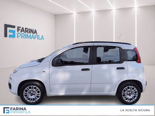 FIAT Panda 1.2 easy s&s 69cv my19