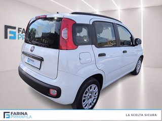 FIAT Panda 1.2 easy s&s 69cv my19