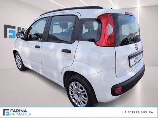 FIAT Panda 1.2 easy s&s 69cv my19