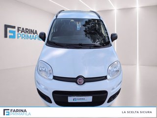 FIAT Panda 1.2 easy s&s 69cv my19